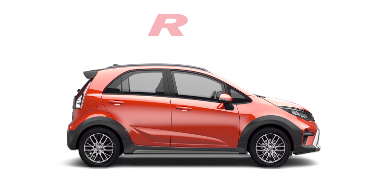 model-IRIZ